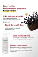 The Experience Luxe Caviar Havyar Bakım Şampuanı görsel 2